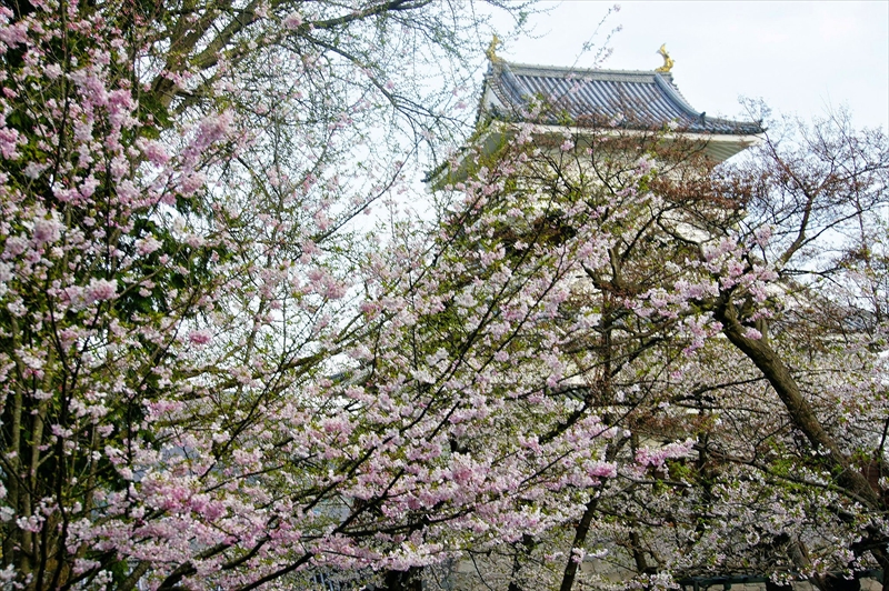 1086_上山城_山形