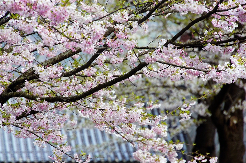 1087_上山城_山形