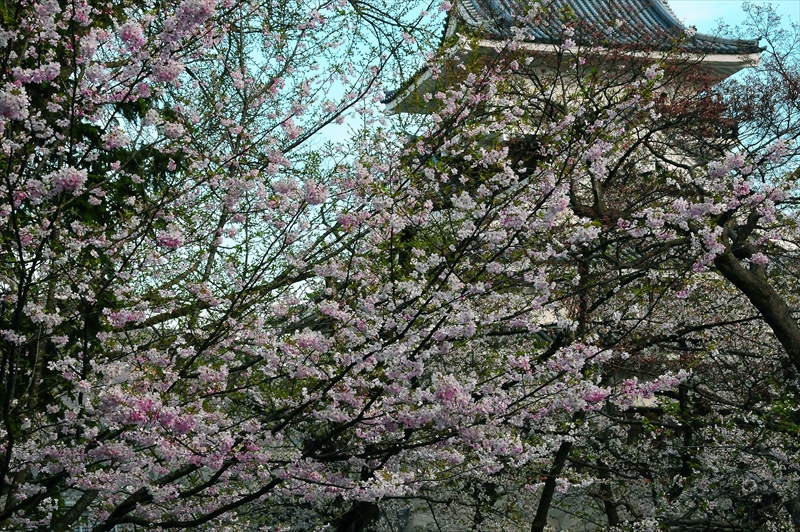 1088_上山城_山形