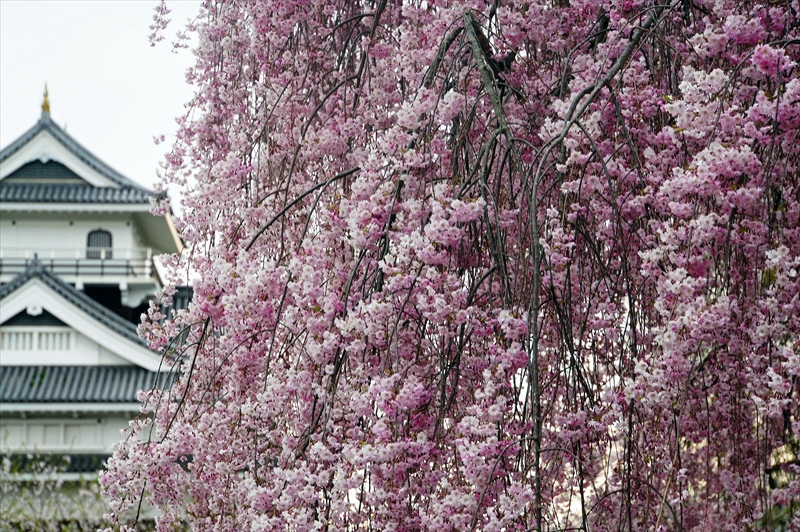 1092_上山城_山形