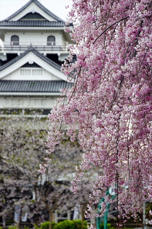 1093_上山城_山形