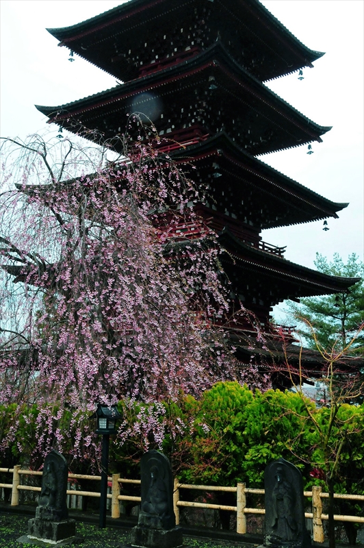 1396_弘前市最勝院_青森