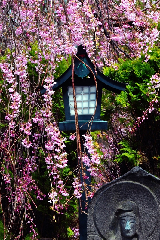 1061_弘前市最勝院_青森