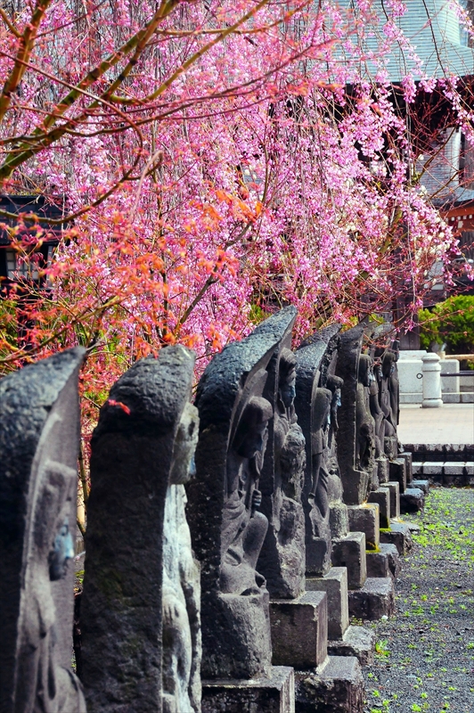 1066_弘前市最勝院_青森
