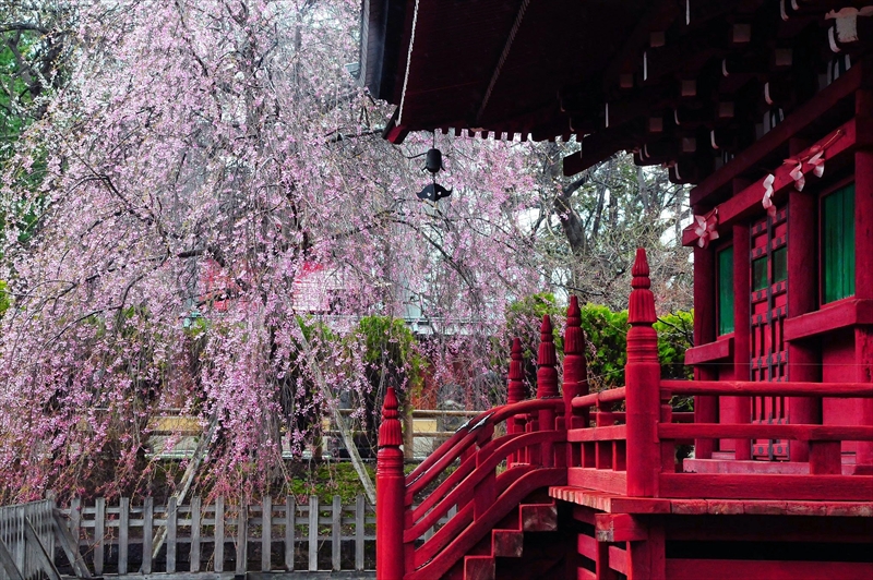 1406_弘前市最勝院_青森