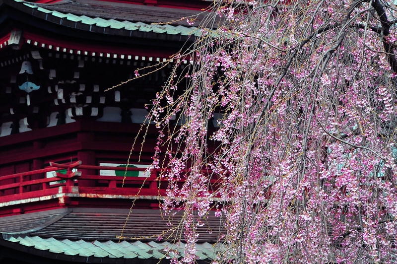 1408_弘前市最勝院_青森