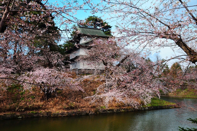 1019_弘前公園_青森