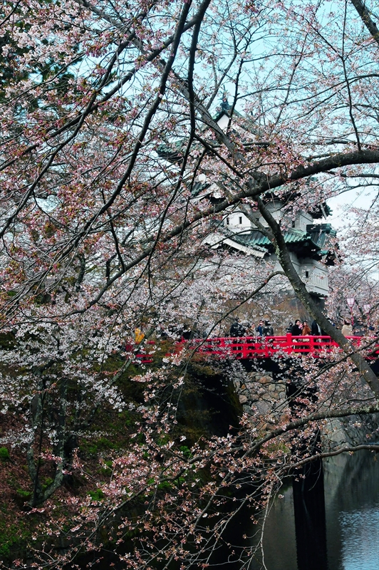 1021_弘前公園_青森