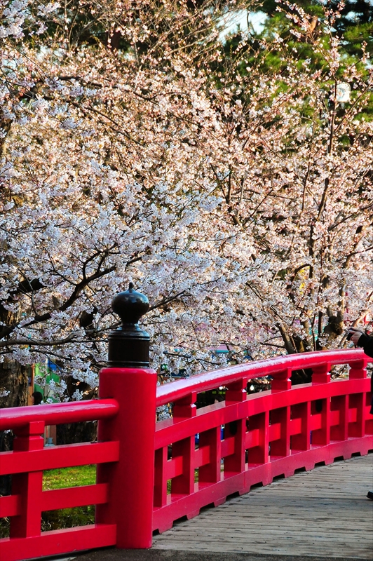 1038_弘前公園_青森
