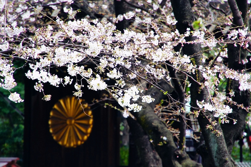 1011_靖国神社_東京