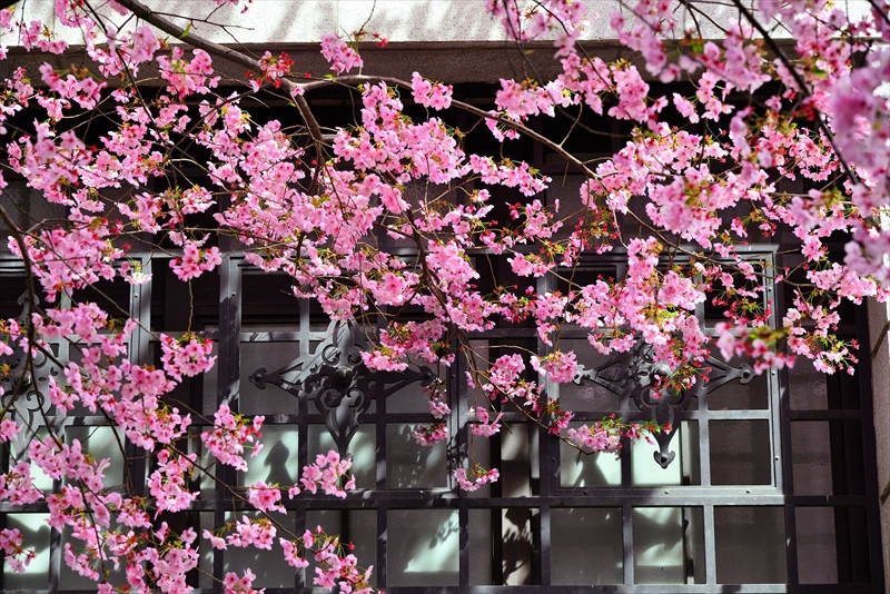 1012_靖国神社_東京
