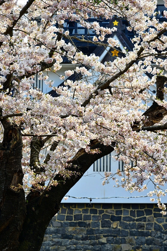 1014_横手城_秋田