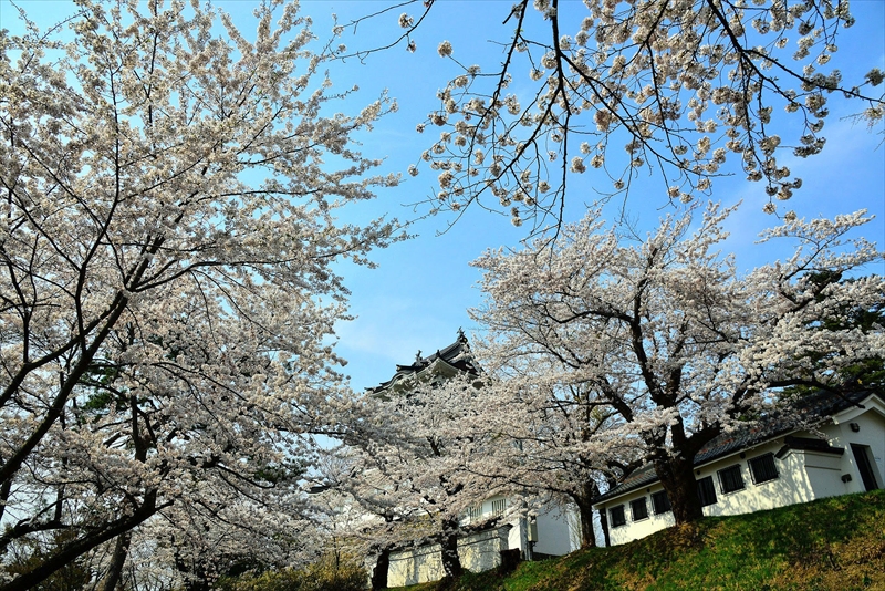 1018_横手城_秋田