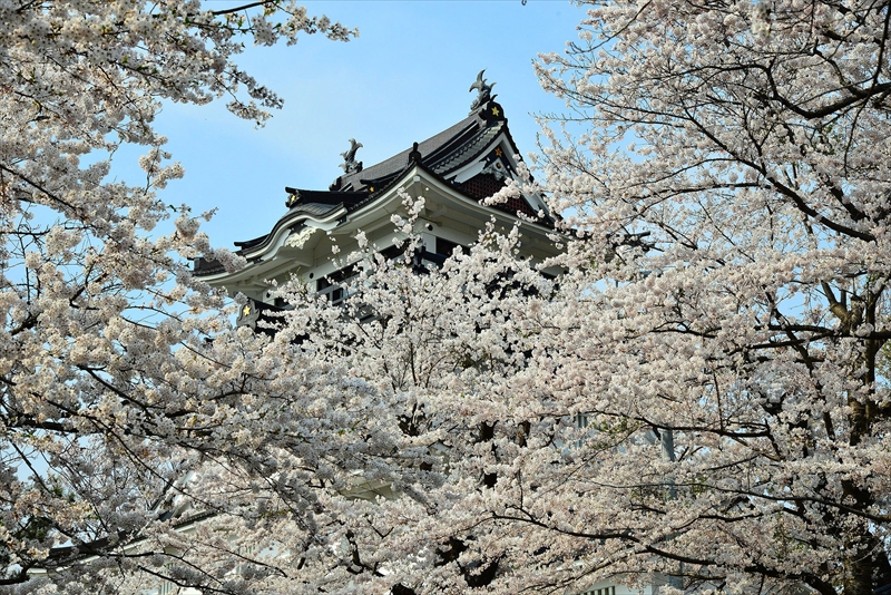 1019_横手城_秋田