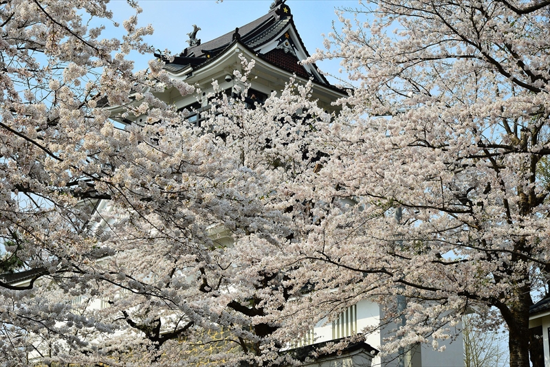 1020_横手城_秋田