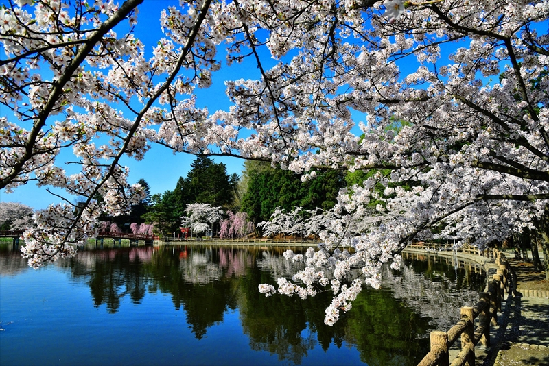 1026_猿賀公園_青森