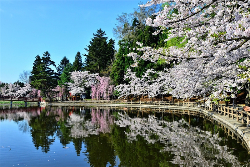 1027_猿賀公園_青森
