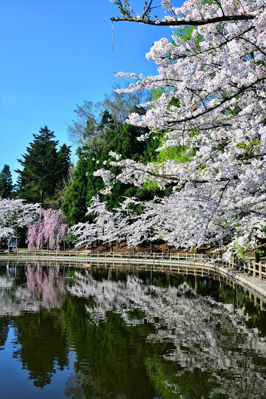1028_猿賀公園_青森