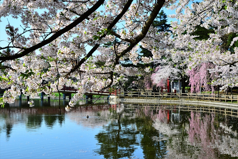 1029_猿賀公園_青森
