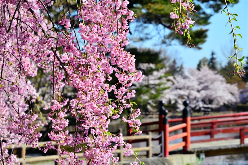 1018_猿賀公園_青森