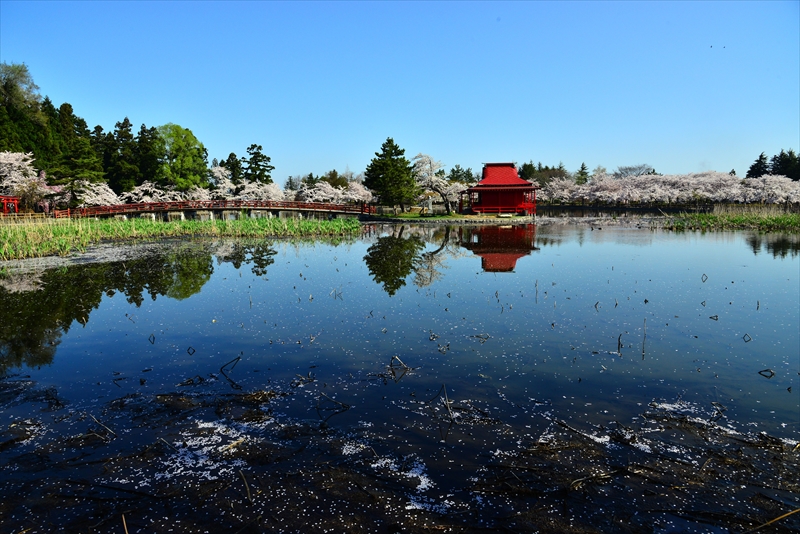 1035_猿賀公園_青森