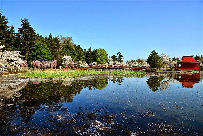 1036_猿賀公園_青森