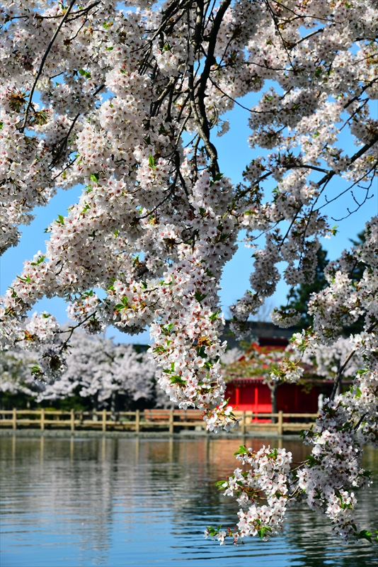 1038_猿賀公園_青森