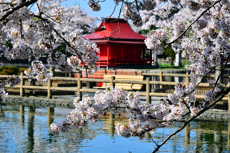 1040_猿賀公園_青森