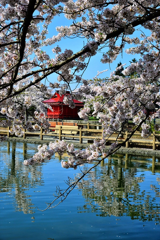 1041_猿賀公園_青森