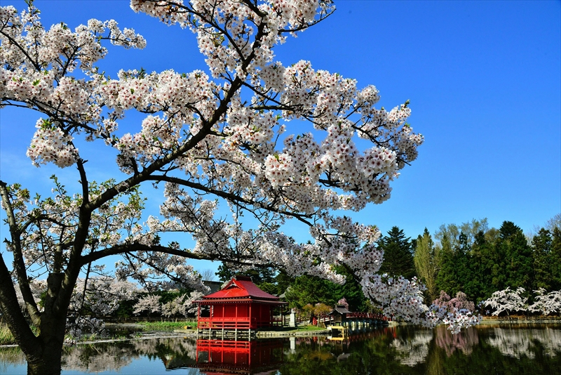 1043_猿賀公園_青森