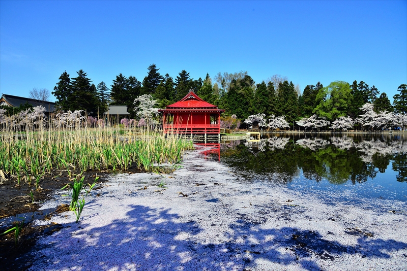 1046_猿賀公園_青森