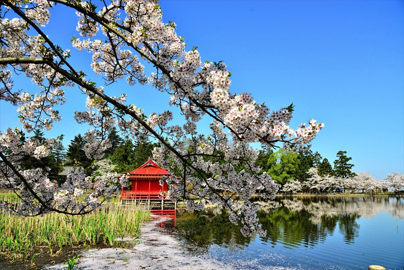 1047_猿賀公園_青森