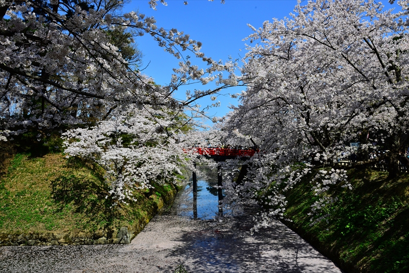 1043_弘前公園_青森
