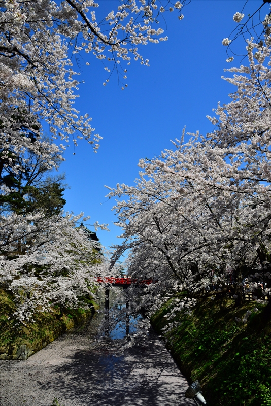 1044_弘前公園_青森