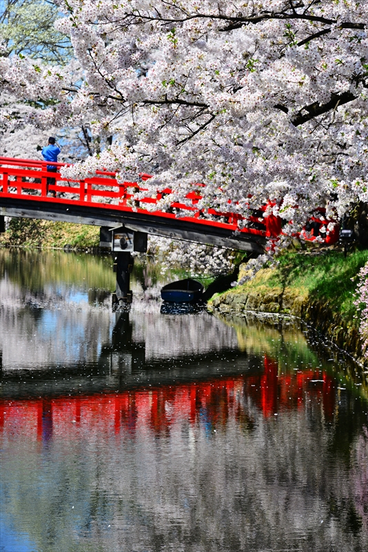 1048_弘前公園_青森