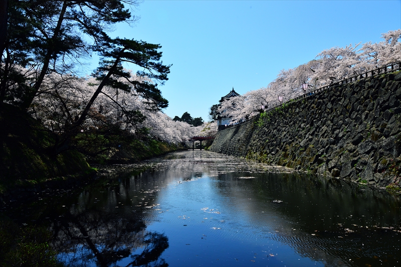 1049_弘前公園_青森