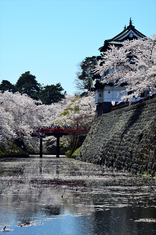 1050_弘前公園_青森