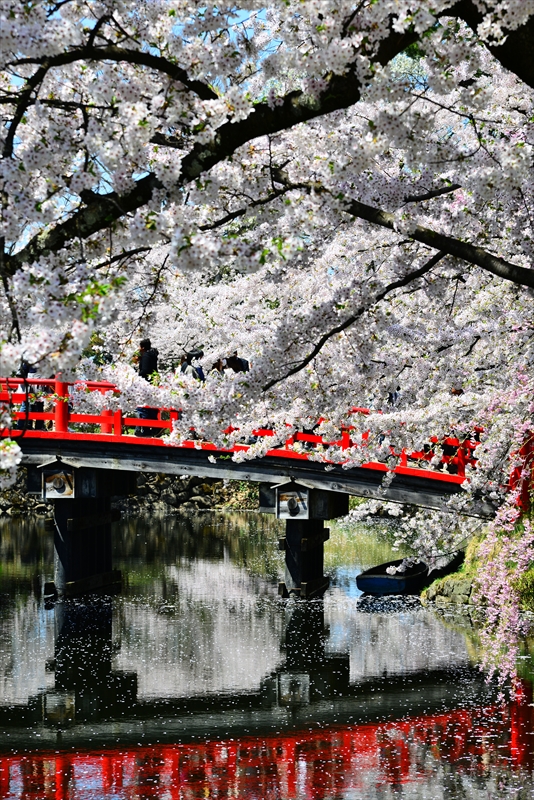 1051_弘前公園_青森