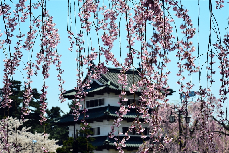 1052_弘前公園_青森