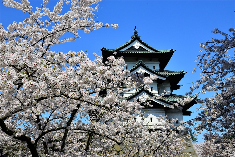 1060_弘前公園_青森