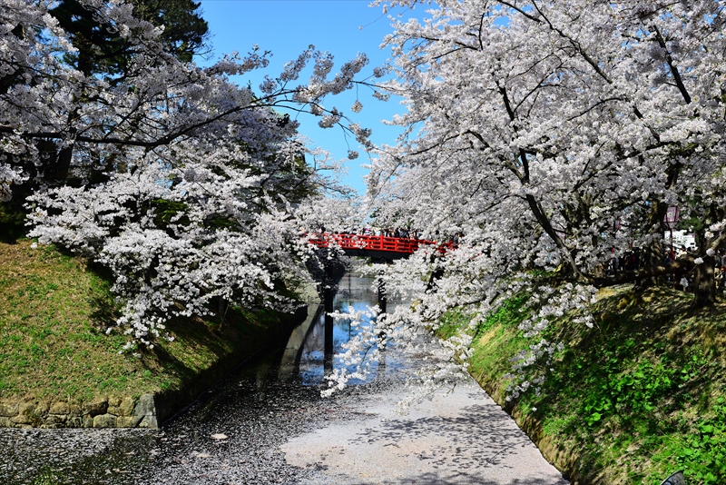 1066_弘前公園_青森