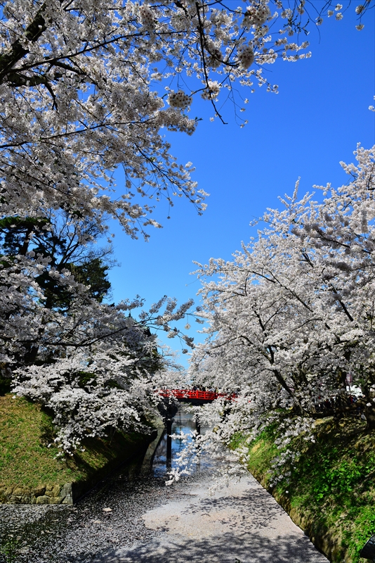 1067_弘前公園_青森