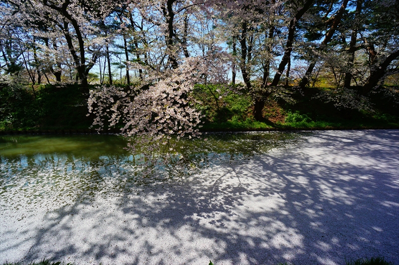 1072_弘前公園_青森