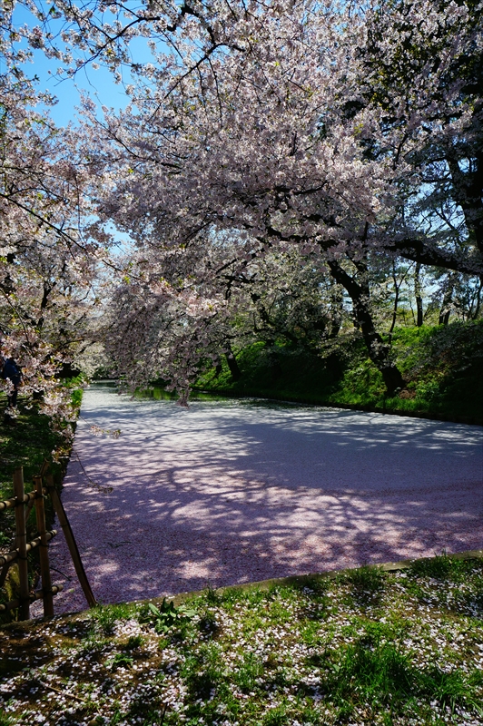 1073_弘前公園_青森