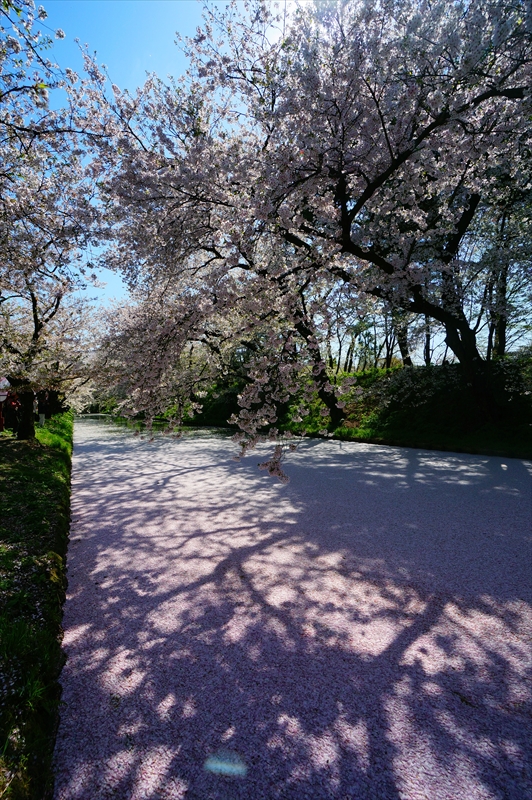 1074_弘前公園_青森