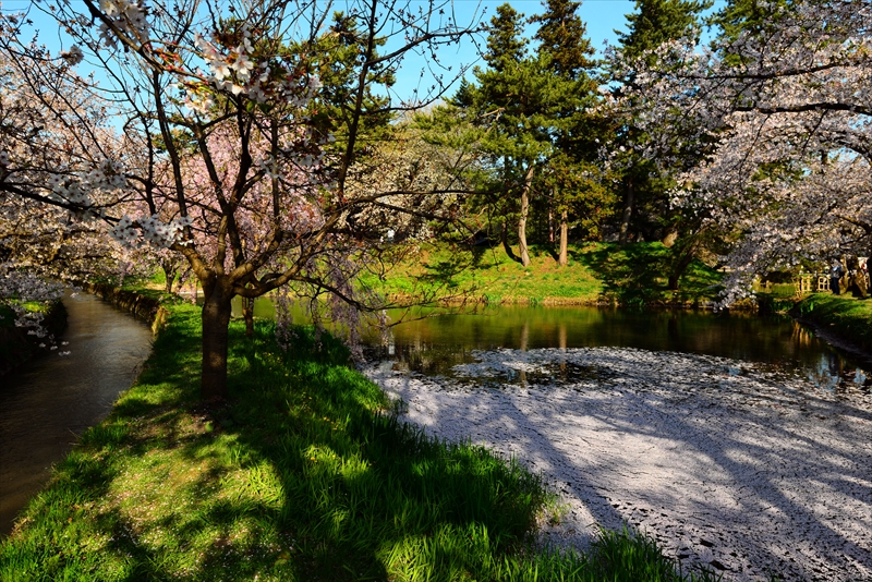1087_弘前公園_青森