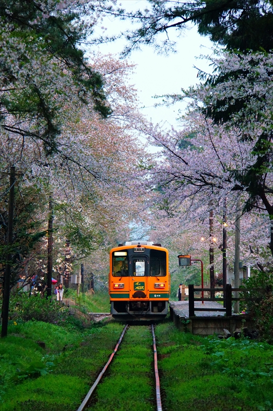 1300_芦野公園_青森