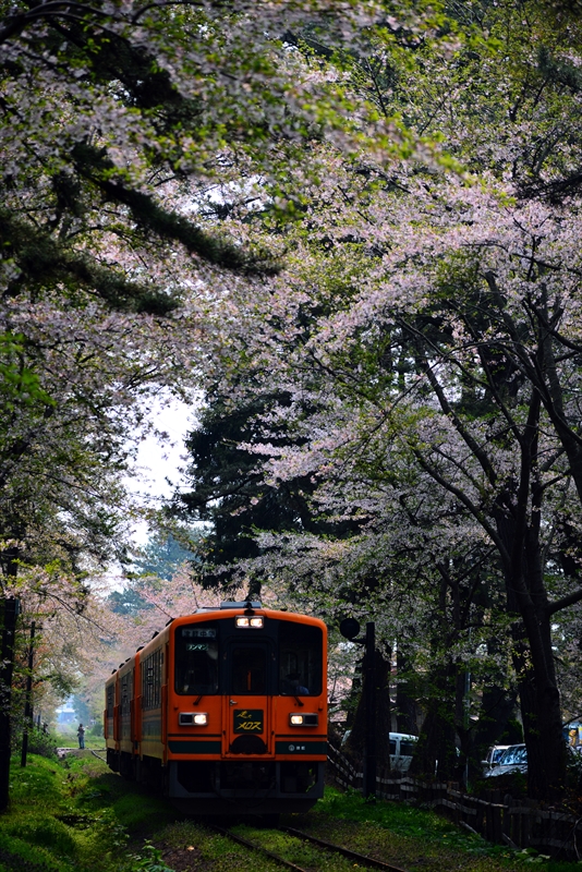 1310_芦野公園_青森