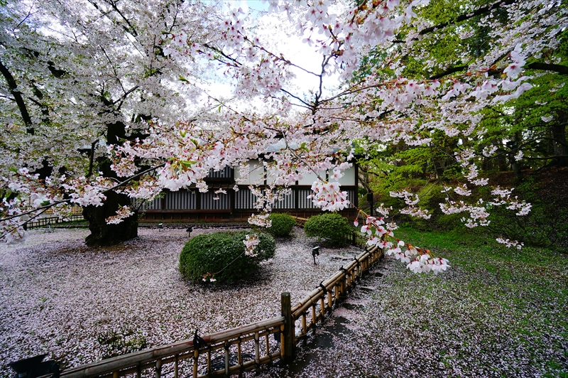 1091_弘前公園_青森