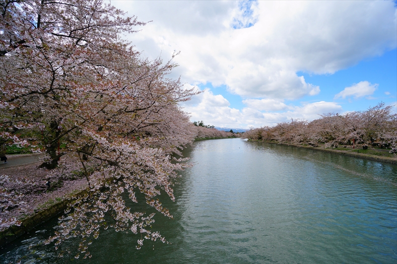 1095_弘前公園_青森